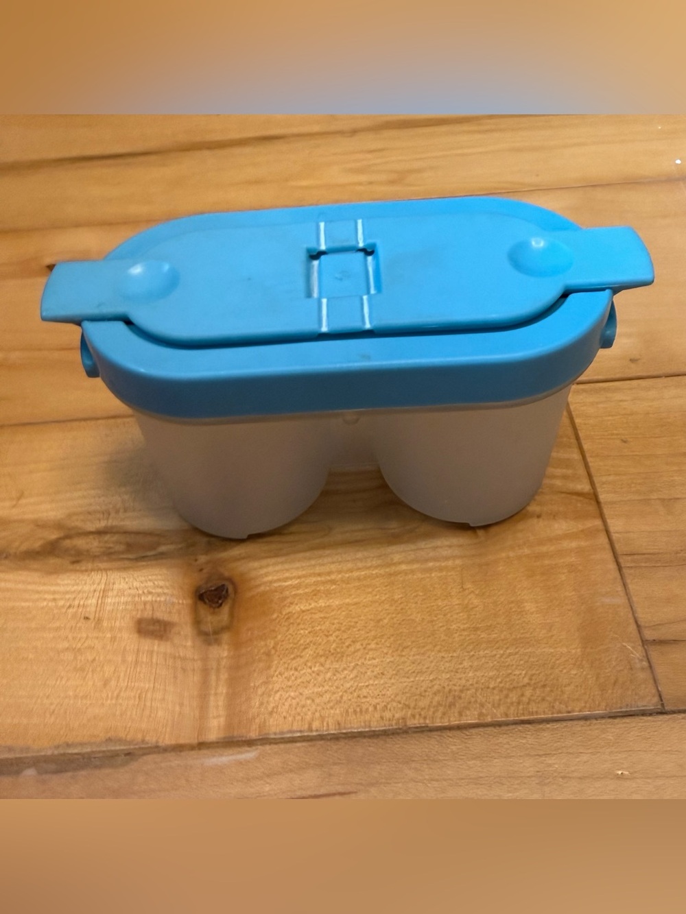 Rubbermaid Blue Twin salt and pepper Organizer